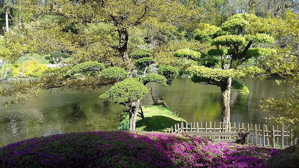 Arbres taillés et azalées au bord de l'eau, Parc oriental de Maulévrier