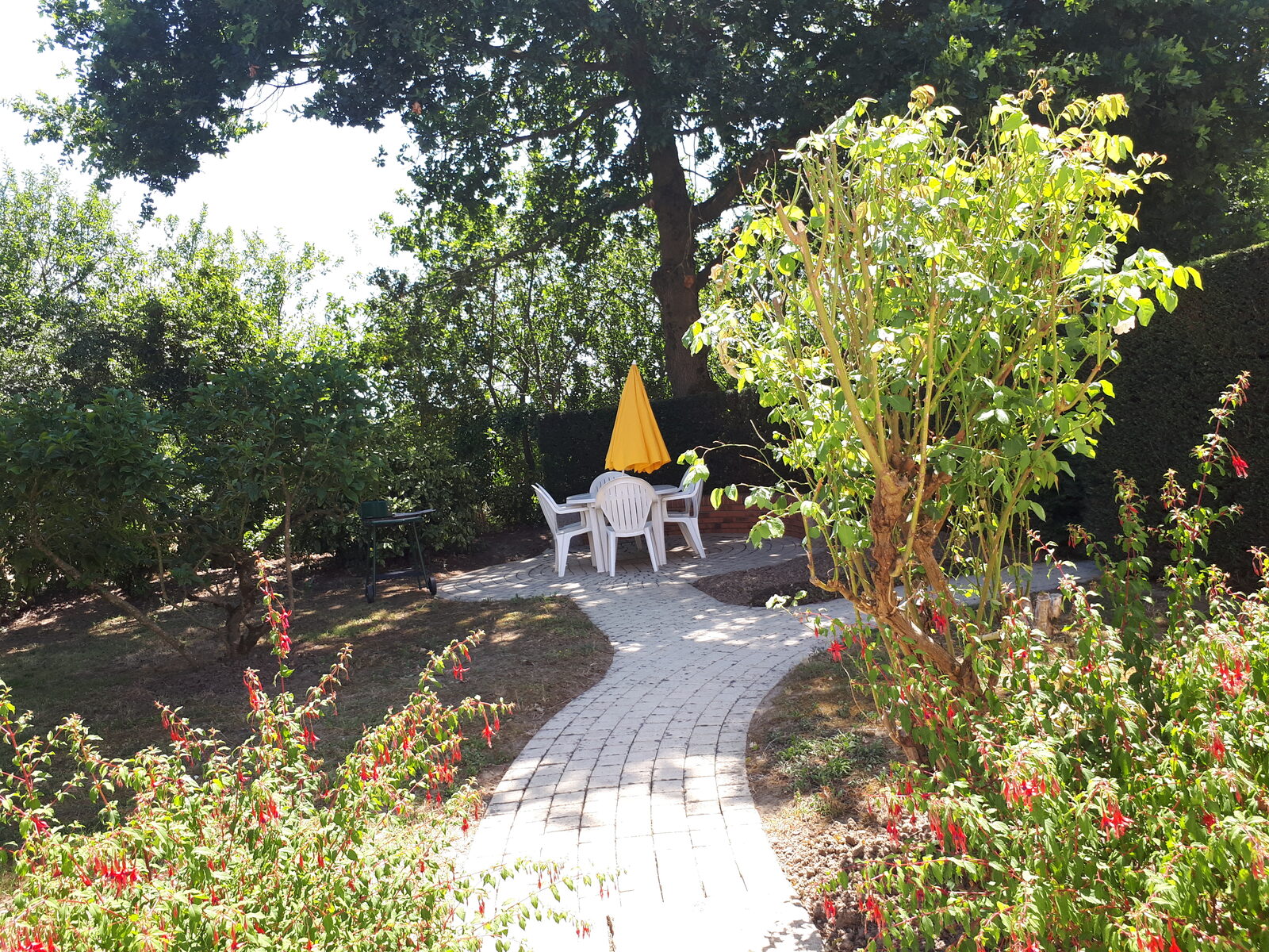 Chemin du jardin ombragé